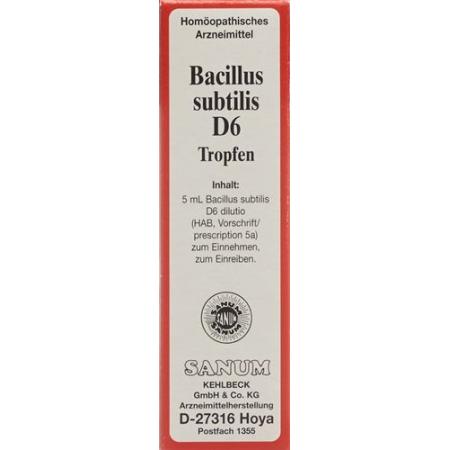 Sanum Bacillus Subtilis Tropfen D 6 5мл - PrimeCare Global