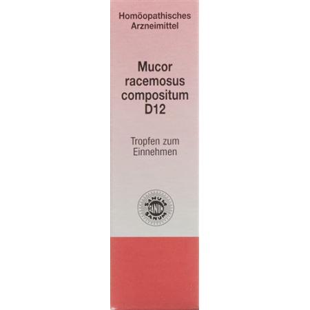 Sanum Mucor racemosus compositum drops D 12 10 ml - PrimeCare Global