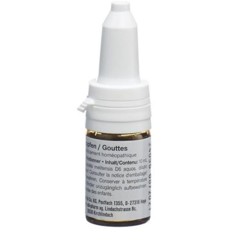 Sanukehl Brucel Drops D 6 Fl 10 ml - PrimeCare Global