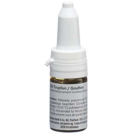 Sanukehl Klebs Drops D 6 bottles 10 ml - PrimeCare Global