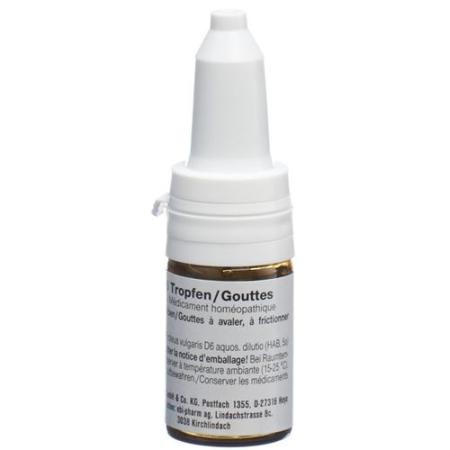Sanukehl Prot Drops D 6 Fl 10 ml - PrimeCare Global