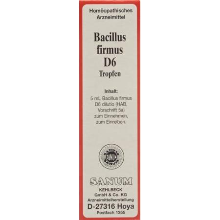 Sanum Bacillus firmus drops D 6 5 ml - PrimeCare Global