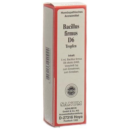 Sanum Bacillus firmus drops D 6 5 ml - PrimeCare Global