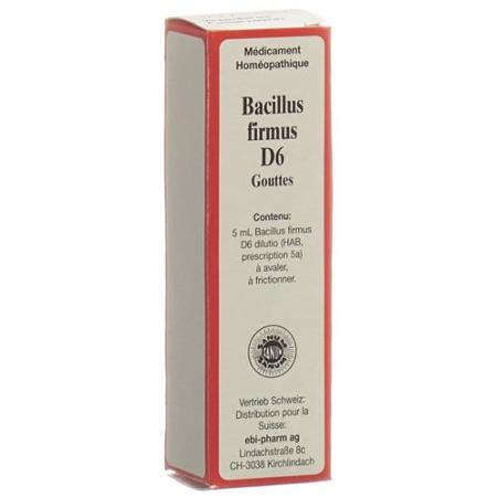 Sanum Bacillus firmus drops D 6 5 ml - PrimeCare Global