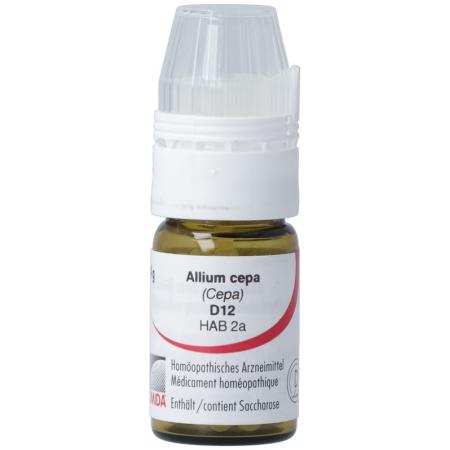 Omida Allium cepa Glob D 12 with dosing aid 4 g - PrimeCare Global