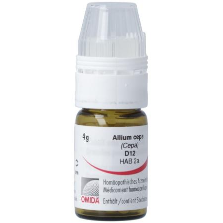 Omida Allium cepa Glob D 12 with dosing aid 4 g - PrimeCare Global