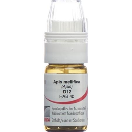 Omida Apis mellifica Glob D 12 with dosing aid 4 g - PrimeCare Global
