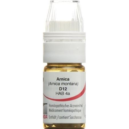 Omida Arnica montana Glob D 12 with dosing aid 4 g - PrimeCare Global