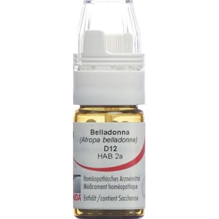 Omida Belladonna Glob D 12 dosing aid 4 g - PrimeCare Global