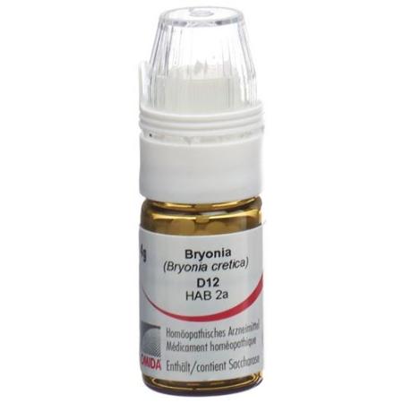 Omida Bryonia Glob D 12 dosing aid 4 g - PrimeCare Global