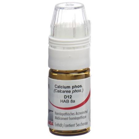 Omida Calcium phos Glob D 12 with dosing aid 4 g - PrimeCare Global