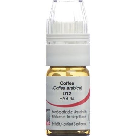 Omida Coffea Glob D 12 with dosing aid 4 g - PrimeCare Global