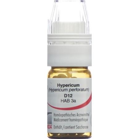Omida Hypericum Glob D 12 with dosing aid 4 g - PrimeCare Global