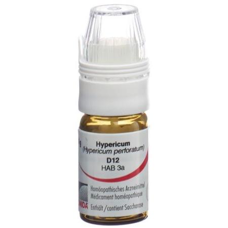 Omida Hypericum Glob D 12 with dosing aid 4 g - PrimeCare Global