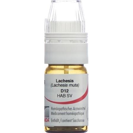 Omida Lachesis Glob D 12 with dosing aid 4 g - PrimeCare Global