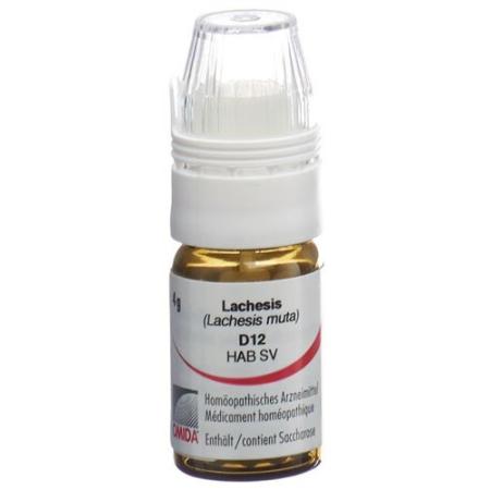 Omida Lachesis Glob D 12 with dosing aid 4 g - PrimeCare Global