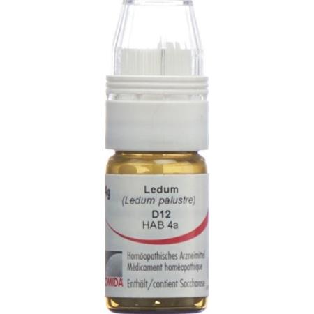 Omida Ledum Glob D 12 with dosing aid 4 g - PrimeCare Global