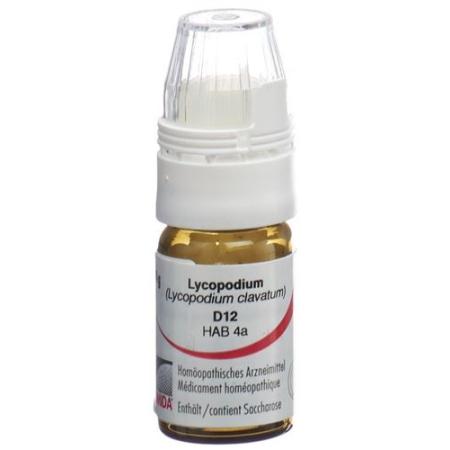 Omida Lycopodium Glob D 12 with dosing aid 4 g - PrimeCare Global