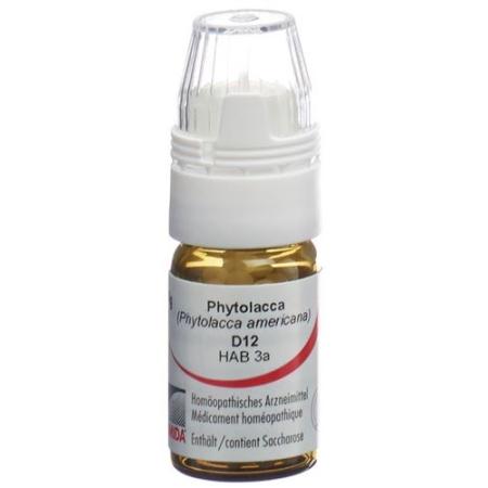 Omida Phytolacca Glob D 12 with dosing aid 4 g - PrimeCare Global