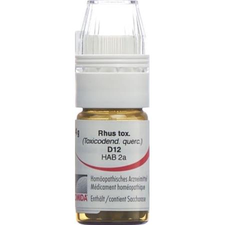 Omida Rhus toxicodendron Glob D 12 with dosing aid 4 g - PrimeCare Global
