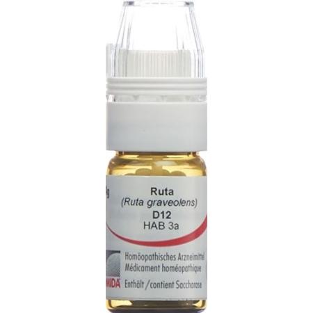 Omida Ruta Glob D 12 with dosing aid 4 g - PrimeCare Global