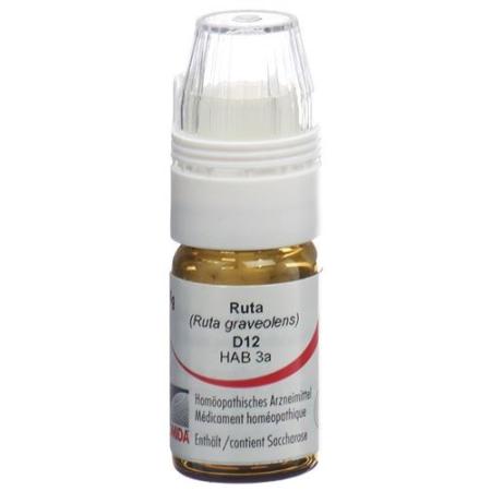 Omida Ruta Glob D 12 with dosing aid 4 g - PrimeCare Global
