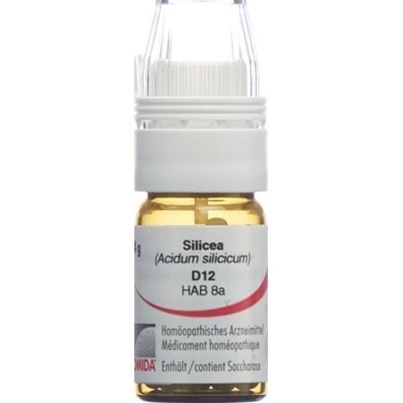 Omida Silicea Glob D 12 with dosing aid 4 g - PrimeCare Global