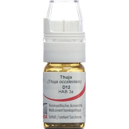 Omida Thuja Glob D 12 with dosing aid 4 g - PrimeCare Global