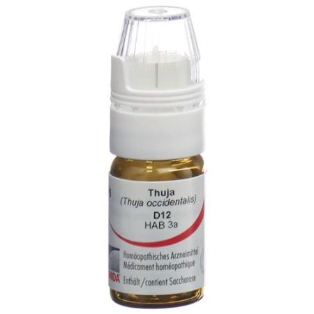 Omida Thuja Glob D 12 with dosing aid 4 g - PrimeCare Global