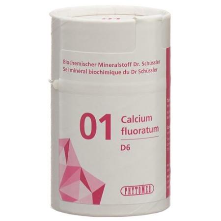 PHYTOMED SCH&Uuml;SSLER Nr1 Calcium fluoratum Tabl D 6 500 g - PrimeCare Global