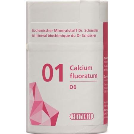 PHYTOMED SCH&Uuml;SSLER Nr1 Calcium fluoratum Tabl D 6 500 g - PrimeCare Global