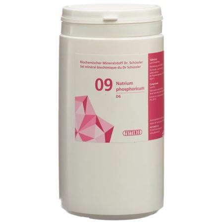 PHYTOMED SCH&Uuml;SSLER Nr9 sodium phosphoricum Tabl D 6 50 g - PrimeCare Global