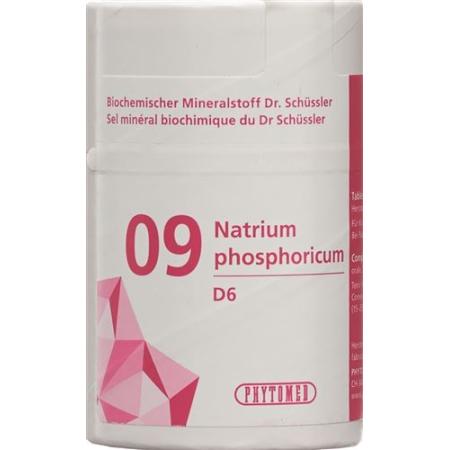 PHYTOMED SCH&Uuml;SSLER Nr9 sodium phosphoricum Tabl D 6 100 g - PrimeCare Global