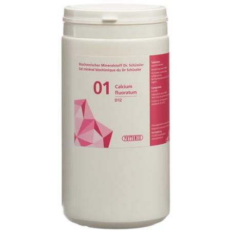 PHYTOMED SCH&Uuml;SSLER Nr1 Calcium fluoratum Tabl D 12 50 g - PrimeCare Global