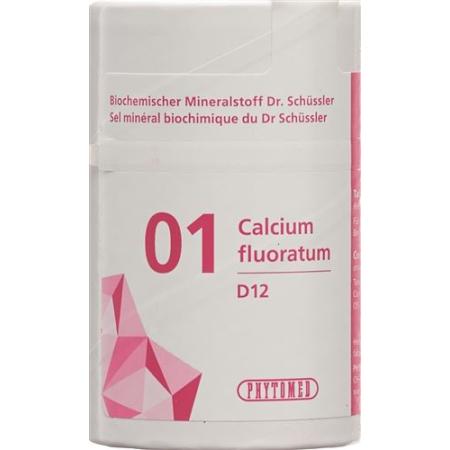 PHYTOMED SCH&Uuml;SSLER Nr1 Calcium fluoratum Tabl D 12 100 g - PrimeCare Global