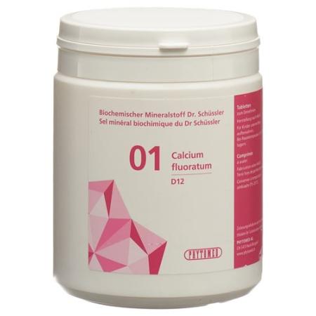 PHYTOMED SCH&Uuml;SSLER Nr1 Calcium fluoratum Tabl D 12 500 g - PrimeCare Global