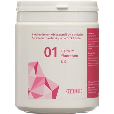 PHYTOMED SCH&Uuml;SSLER Nr1 Calcium fluoratum Tabl D 12 500 g - PrimeCare Global
