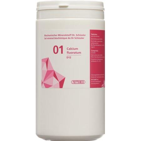 PHYTOMED SCH&Uuml;SSLER Nr1 Calcium fluoratum Tabl D 12 1 kg - PrimeCare Global