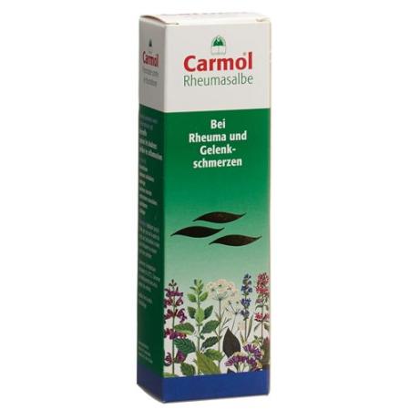Carmol rheumatic ointment Tb 80 g - PrimeCare Global