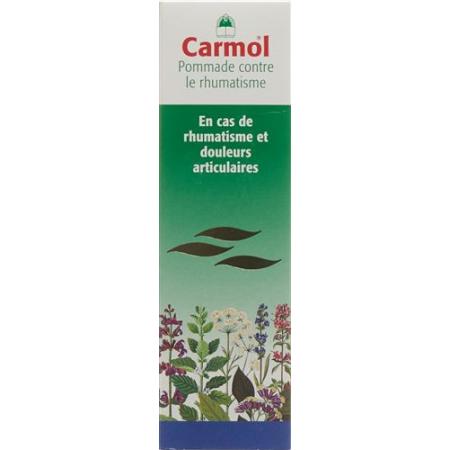 Carmol rheumatic ointment Tb 80 g - PrimeCare Global