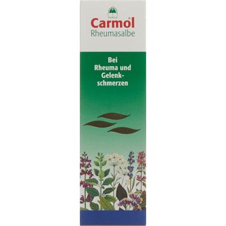 Carmol rheumatic ointment Tb 80 g - PrimeCare Global