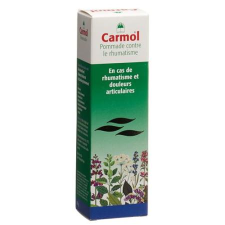 Carmol rheumatic ointment Tb 80 g - PrimeCare Global