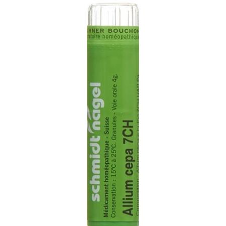 SN Allium cepa Gran CH 7 4g - PrimeCare Global
