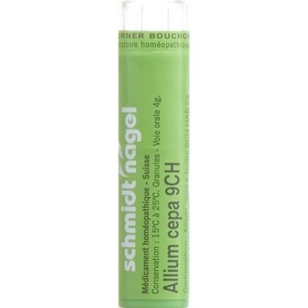 SN Allium cepa Gran CH 9 4g - PrimeCare Global