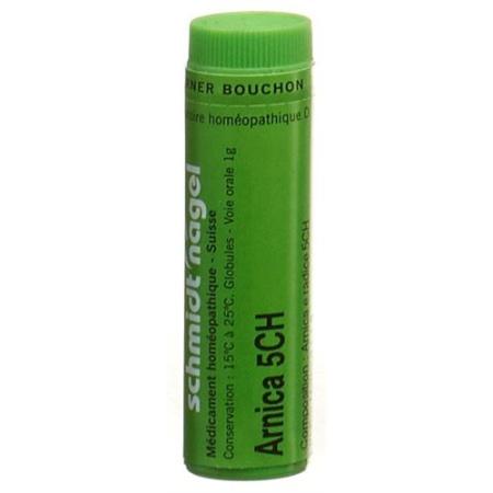 SN Arnica Glob CH 5 1g - PrimeCare Global