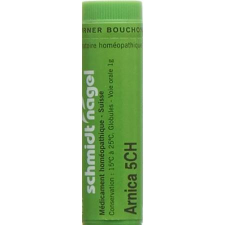 SN Arnica Glob CH 5 1g - PrimeCare Global