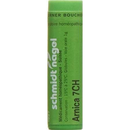 SN Arnica Glob CH 7 1g - PrimeCare Global