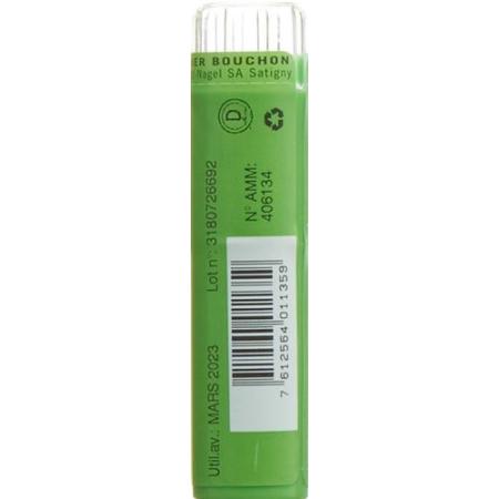 SN Arnica granules CH 9 4g - PrimeCare Global