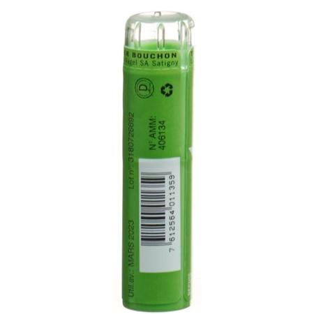 SN Arnica granules CH 9 4g - PrimeCare Global