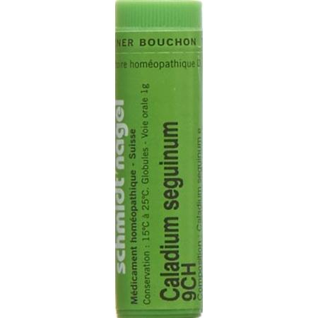 SN Caladium seguinum Glob CH 9 1g - PrimeCare Global